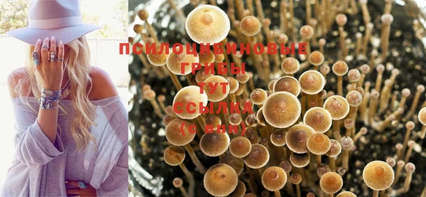 героин Арсеньев