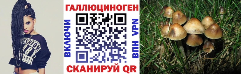 Галлюциногенные грибы прущие грибы  Похвистнево 